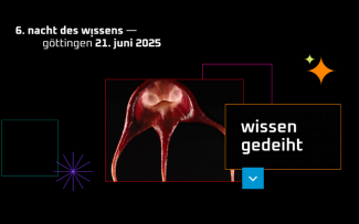Nacht des Wissens